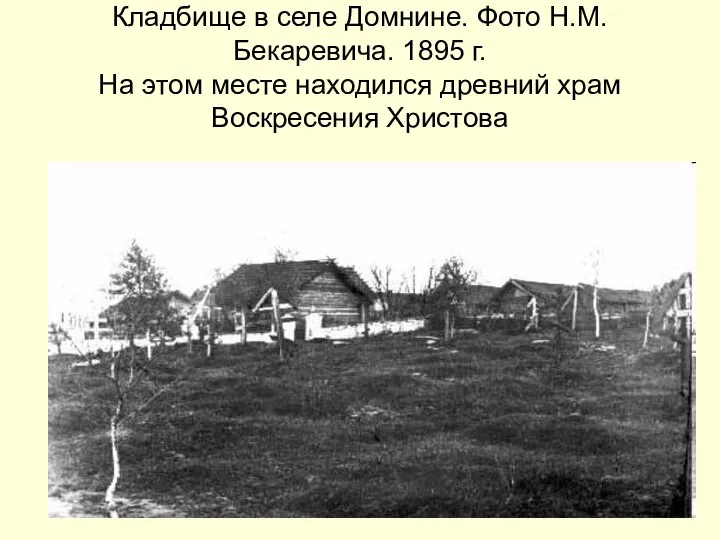 Кладбище в селе Домнине. Фото Н.М. Бекаревича. 1895 г. На этом