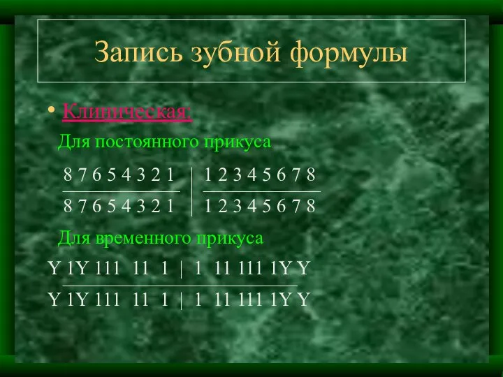 Запись зубной формулы Клиническая: Для постоянного прикуса 8 7 6 5