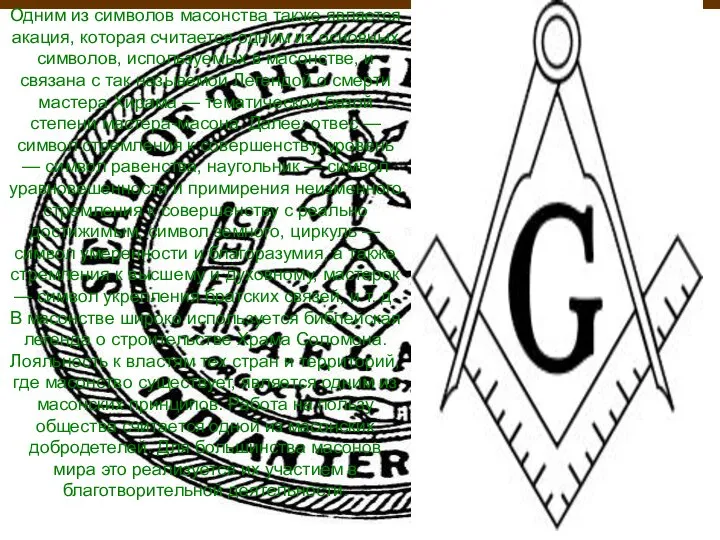 Одним из символов масонства также является акация, которая считается одним из