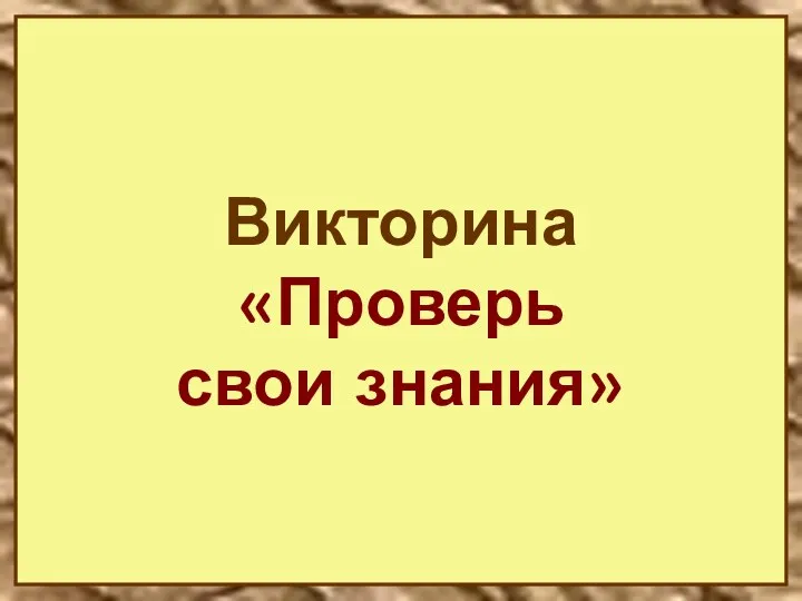 Викторина «Проверь свои знания»