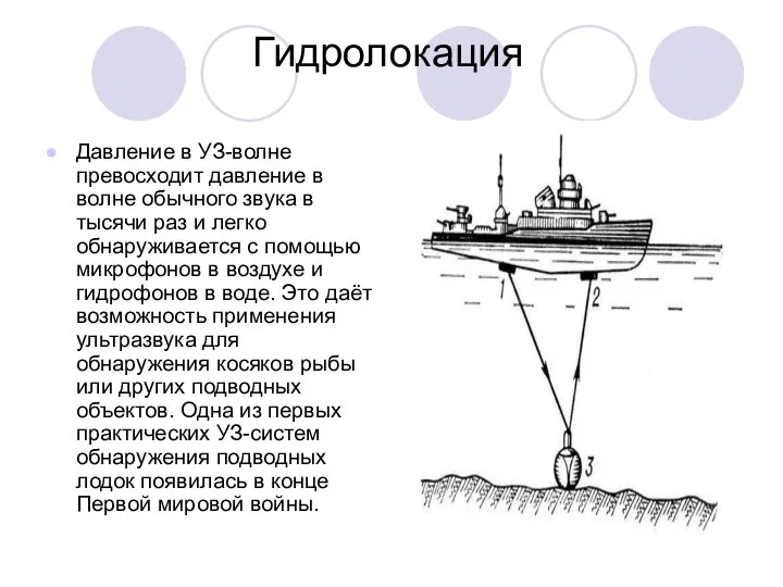 Гидролокация Давление в УЗ-волне превосходит давление в волне обычного звука в