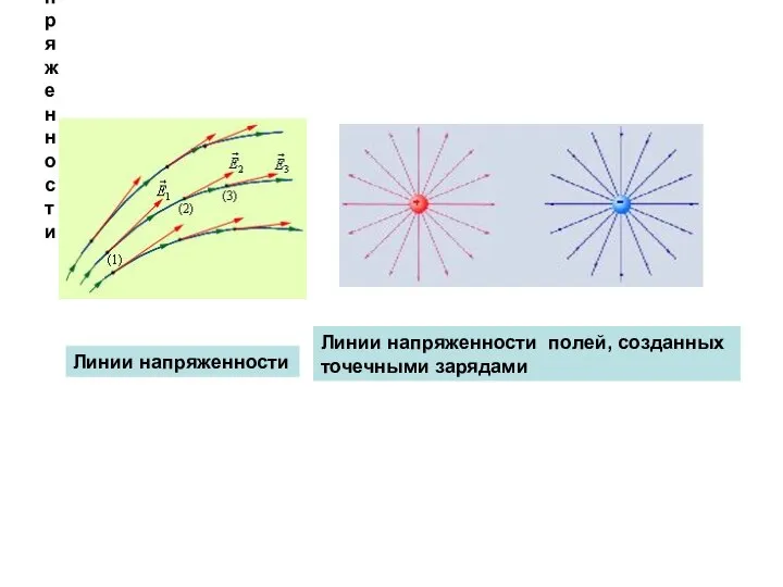 Линии напряженности Линии напряженности Линии напряженности полей, созданных точечными зарядами