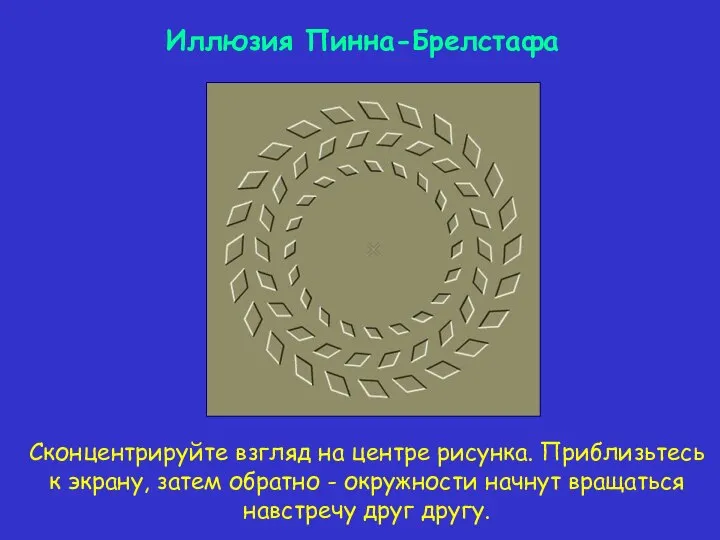 Иллюзия Пинна-Брелстафа Сконцентрируйте взгляд на центре рисунка. Приблизьтесь к экрану, затем