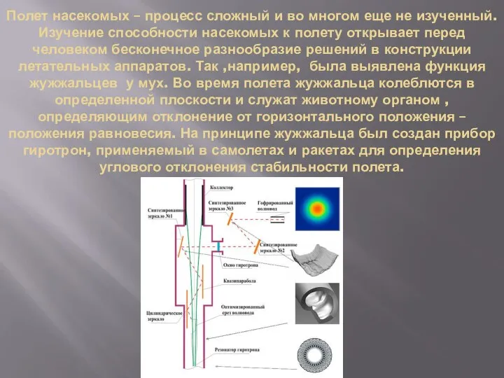 Полет насекомых – процесс сложный и во многом еще не изученный.