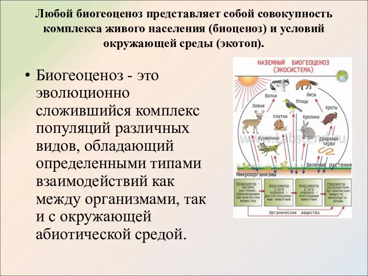 Любой биогеоценоз представляет собой совокупность комплекса живого населения (биоценоз) и условий