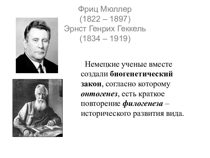 Фриц Мюллер (1822 – 1897) Эрнст Генрих Геккель (1834 – 1919)