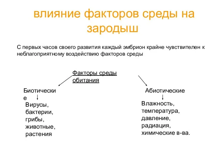 влияние факторов среды на зародыш Факторы среды обитания Биотические Абиотические Вирусы,