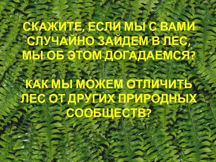 Скажите, если мы с вами случайно зайдем в лес, мы об