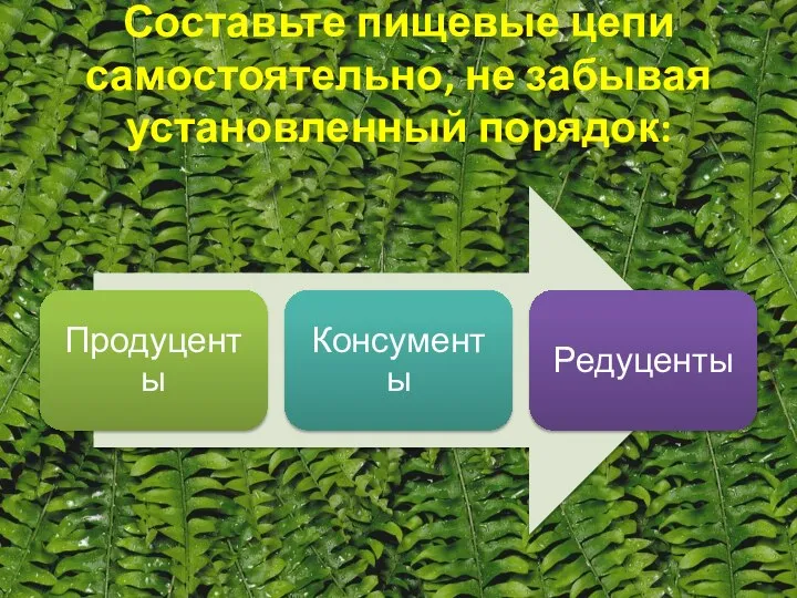 Составьте пищевые цепи самостоятельно, не забывая установленный порядок: