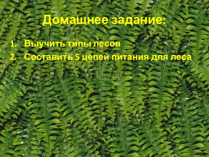 Домашнее задание: Выучить типы лесов Составить 5 цепей питания для леса