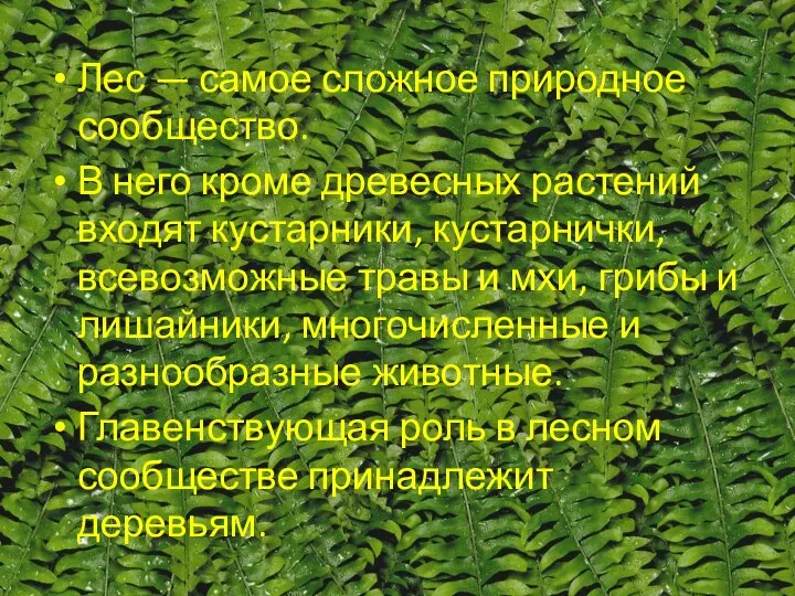 Лес — самое сложное природное сообщество. В него кроме древесных растений