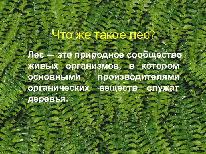 Что же такое лес? Лес — это природное сообщество живых организмов,