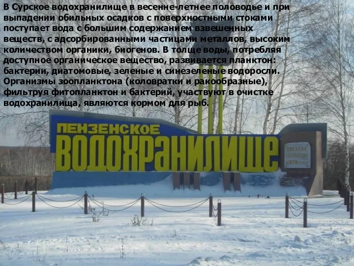 В Сурское водохранилище в весенне-летнее половодье и при выпадении обильных осадков