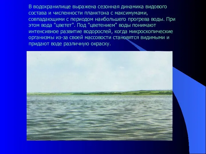 В водохранилище выражена сезонная динамика видового состава и численности планктона с