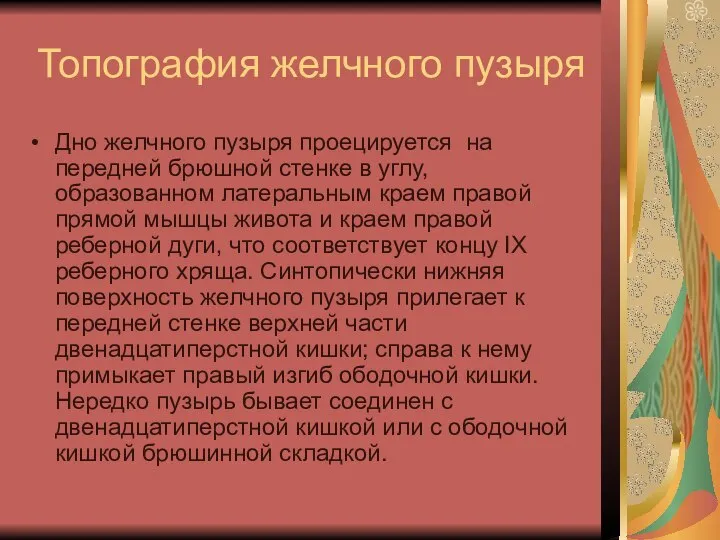 Топография желчного пузыря Дно желчного пузыря проецируется на передней брюшной стенке