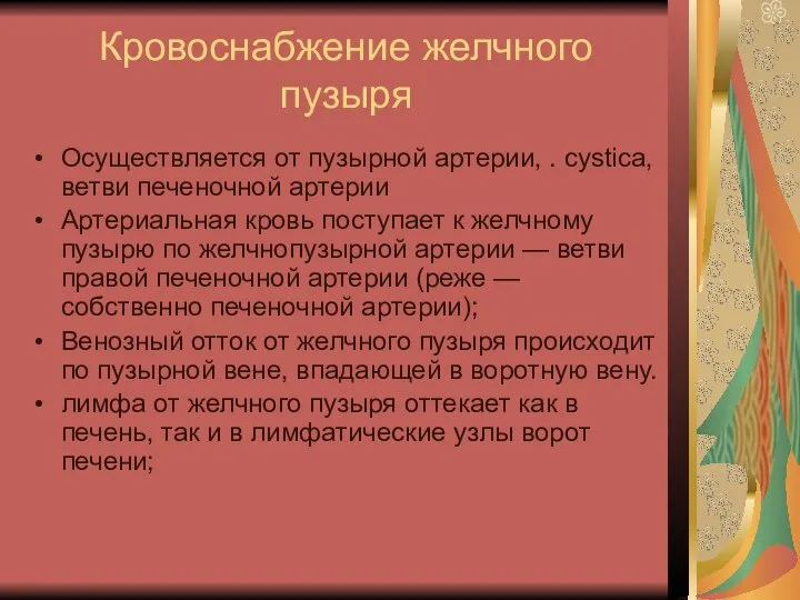 Кровоснабжение желчного пузыря Осуществляется от пузырной артерии, . cystica, ветви печеночной