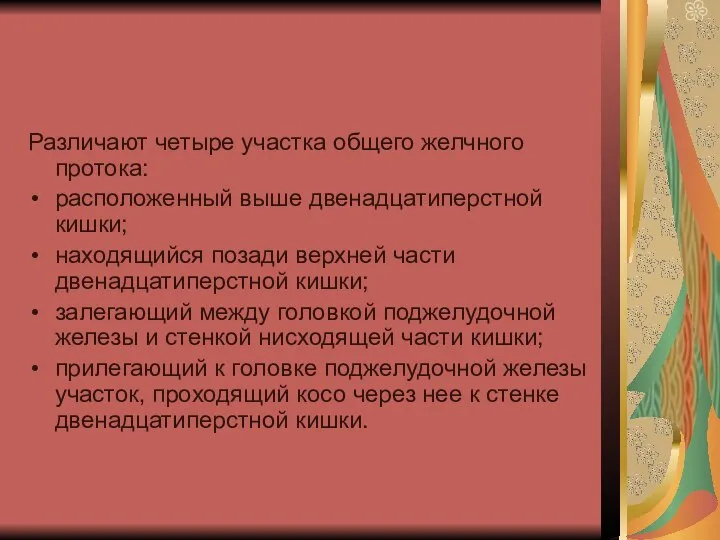 Различают четыре участка общего желчного протока: расположенный выше двенадцатиперстной кишки; находящийся