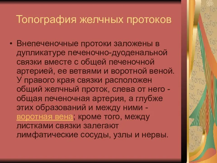 Топография желчных протоков Внепеченочные протоки заложены в дупликатуре печеночно-дуоденальной связки вместе