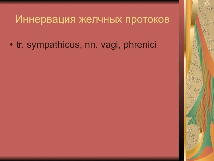 Иннервация желчных протоков tr. sympathicus, nn. vagi, phrenici