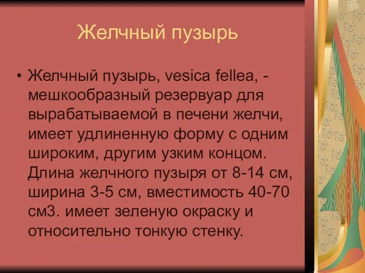 Желчный пузырь Желчный пузырь, vesica fellea, - мешкообразный резервуар для вырабатываемой