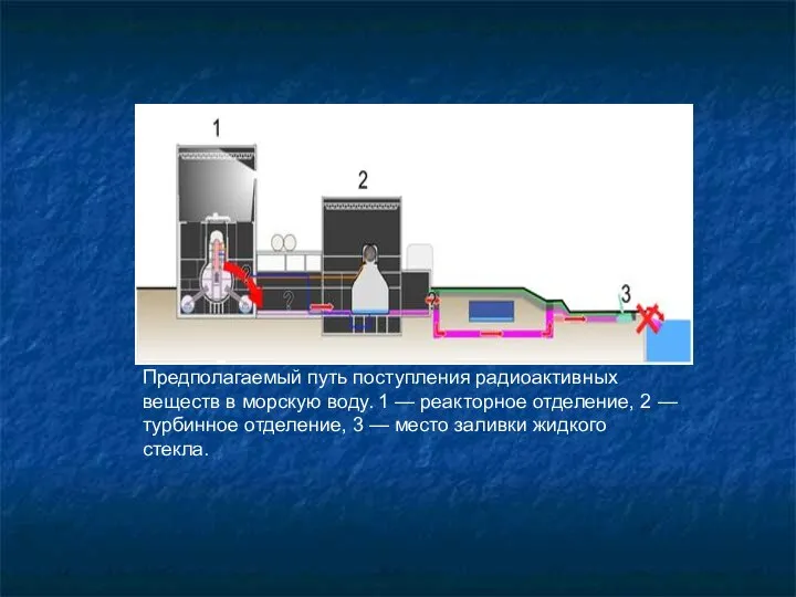 Предполагаемый путь поступления радиоактивных веществ в морскую воду. 1 — реакторное