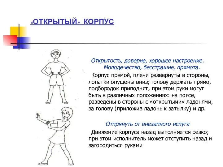 «ОТКРЫТЫЙ» КОРПУС Открытость, доверие, хорошее настроение. Молодечество, бесстрашие, прямота. Корпус прямой,