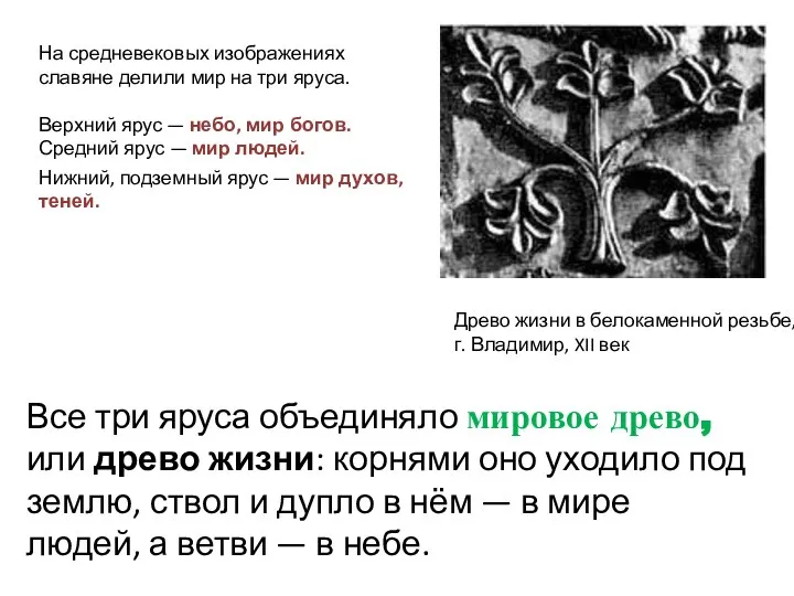 Древо жизни в белокаменной резьбе, г. Владимир, XII век На средневековых