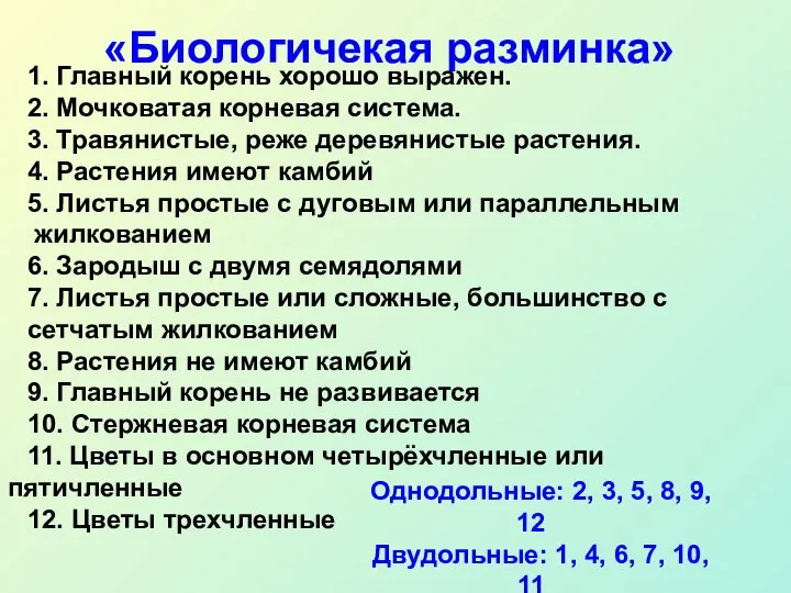 «Биологичекая разминка» 1. Главный корень хорошо выражен. 2. Мочковатая корневая система.