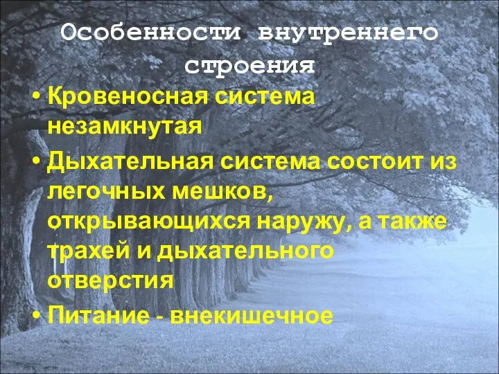 Особенности внутреннего строения Кровеносная система незамкнутая Дыхательная система состоит из легочных