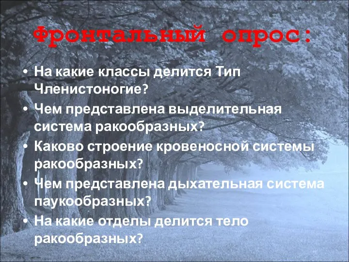 Фронтальный опрос: На какие классы делится Тип Членистоногие? Чем представлена выделительная