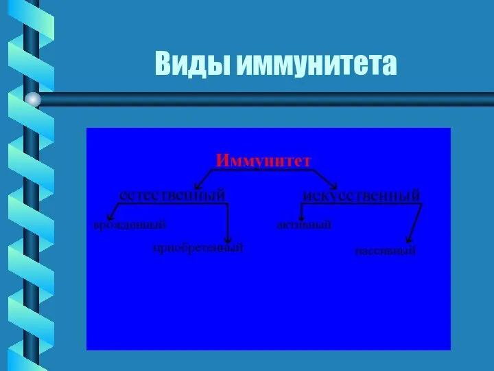 Виды иммунитета