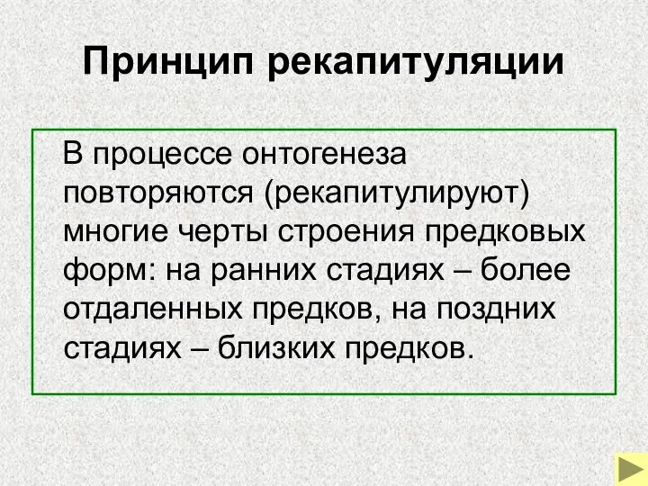 Принцип рекапитуляции В процессе онтогенеза повторяются (рекапитулируют) многие черты строения предковых