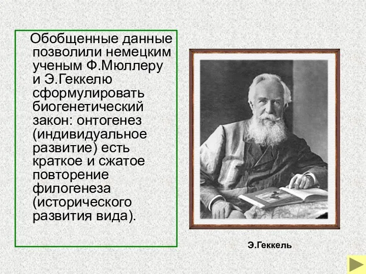 Обобщенные данные позволили немецким ученым Ф.Мюллеру и Э.Геккелю сформулировать биогенетический закон: