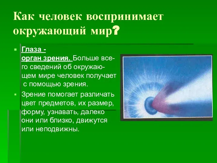 Как человек воспринимает окружающий мир? Глаза -орган зрения. Больше все-го сведений