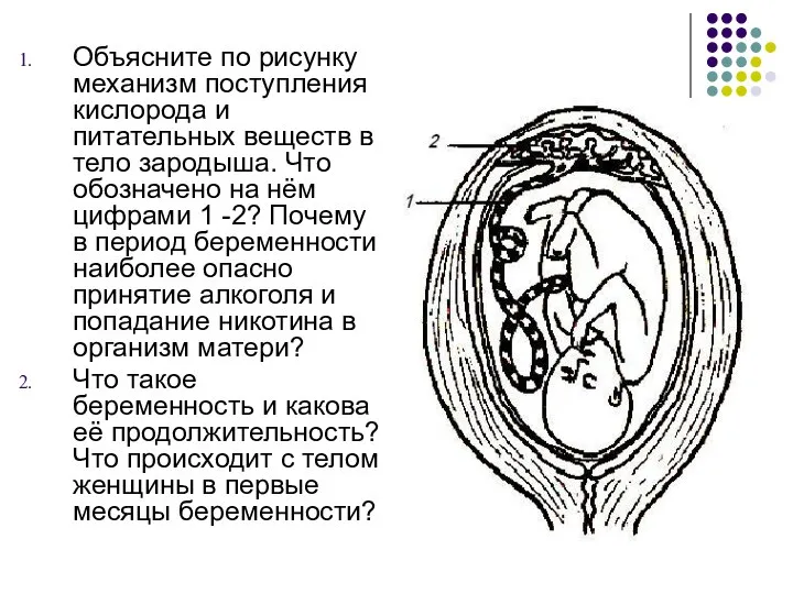 Объясните по рисунку механизм поступления кислорода и питательных веществ в тело