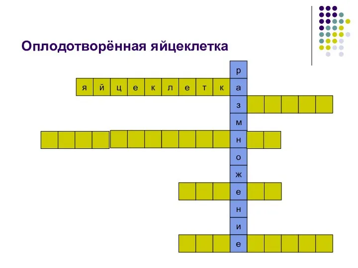 Оплодотворённая яйцеклетка е к л е т к и н е