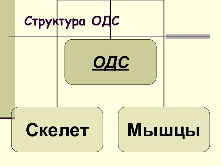 Структура ОДС