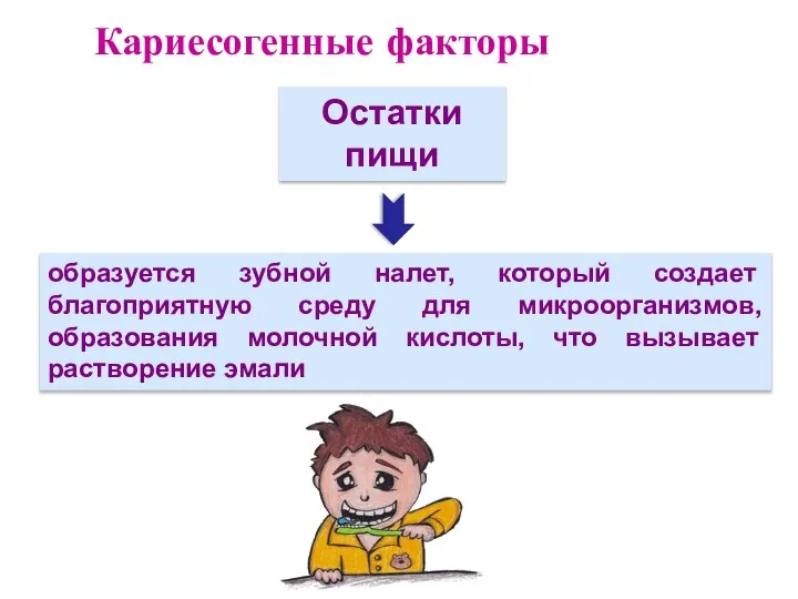 Кариесогенные факторы Остатки пищи образуется зубной налет, который создает благоприятную среду