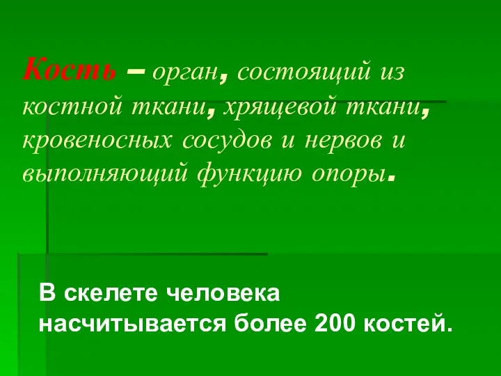 Кость – орган, состоящий из костной ткани, хрящевой ткани, кровеносных сосудов