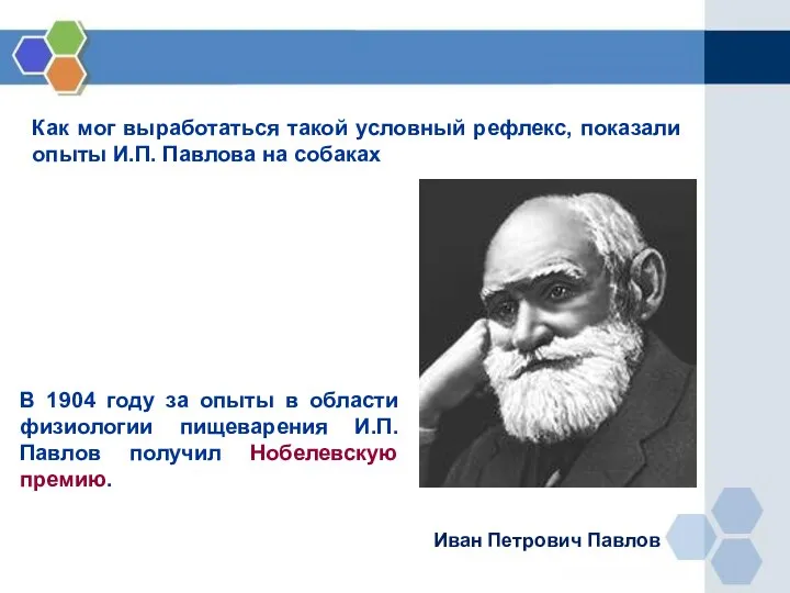 Как мог выработаться такой условный рефлекс, показали опыты И.П. Павлова на