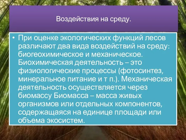 Воздействия на среду. При оценке экологических функций лесов различают два вида