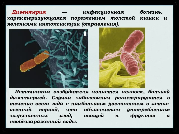 Источником возбудителя является человек, больной дизентерией. Случаи заболевания регистрируются в течение