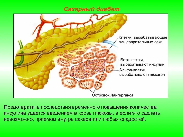 Предотвратить последствия временного повышения количества инсулина удается введением в кровь глюкозы,