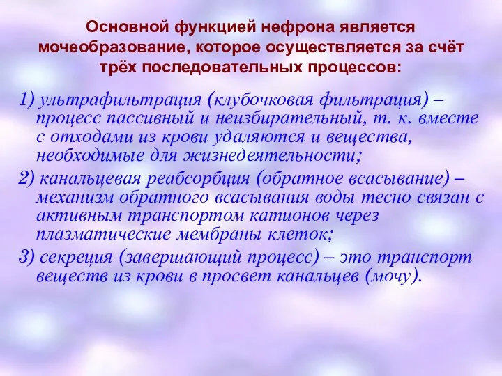 Основной функцией нефрона является мочеобразование, которое осуществляется за счёт трёх последовательных