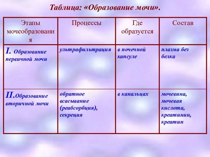 Таблица: «Образование мочи».