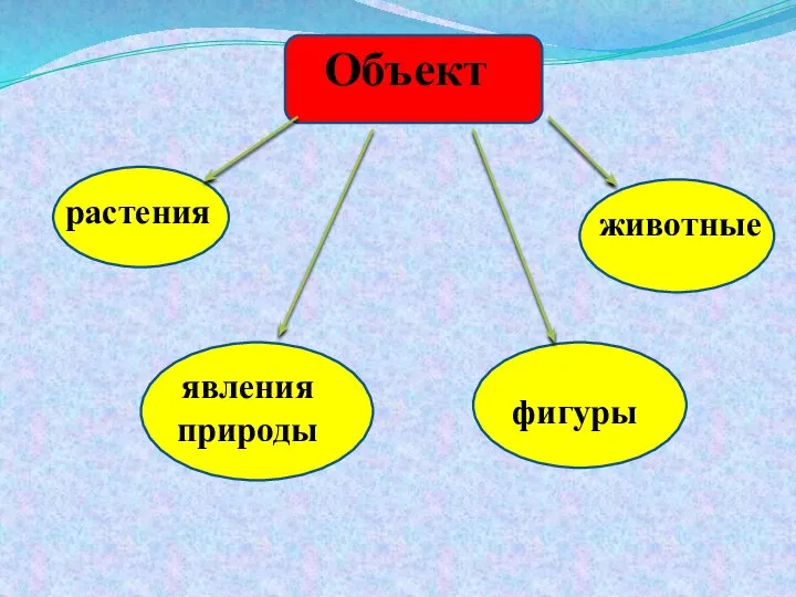 Объект растения явления природы животные фигуры