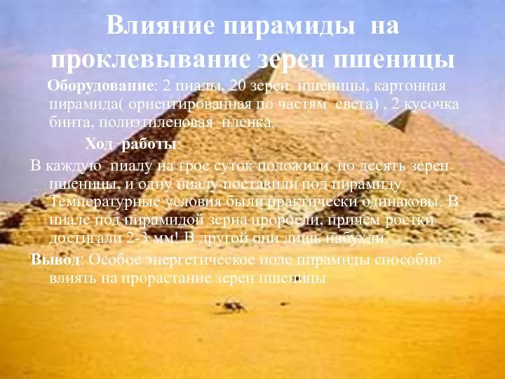 Влияние пирамиды на проклевывание зерен пшеницы Оборудование: 2 пиалы, 20 зерен