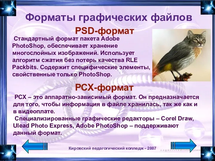 Кировский педагогический колледж - 2007 Форматы графических файлов PSD-формат Стандартный формат