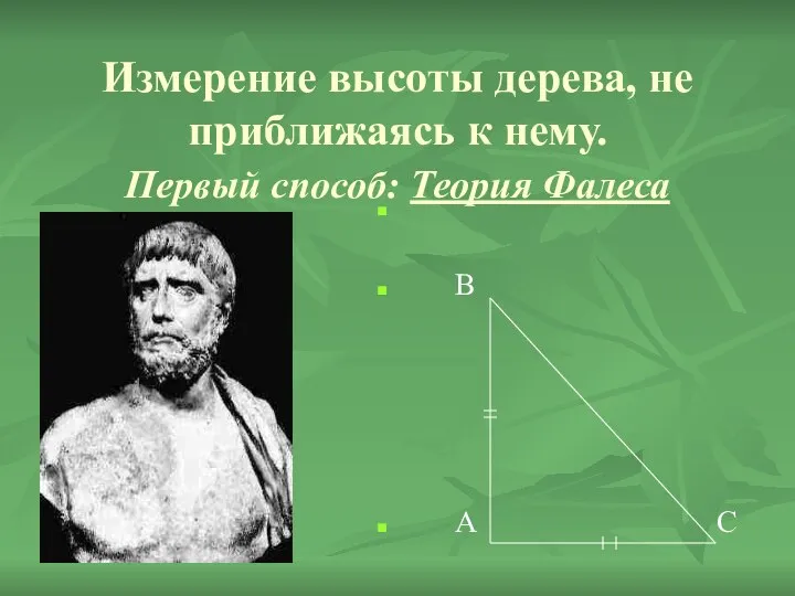 Измерение высоты дерева, не приближаясь к нему. Первый способ: Теория Фалеса В А С