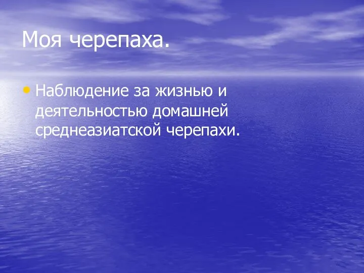 Моя черепаха. Наблюдение за жизнью и деятельностью домашней среднеазиатской черепахи.